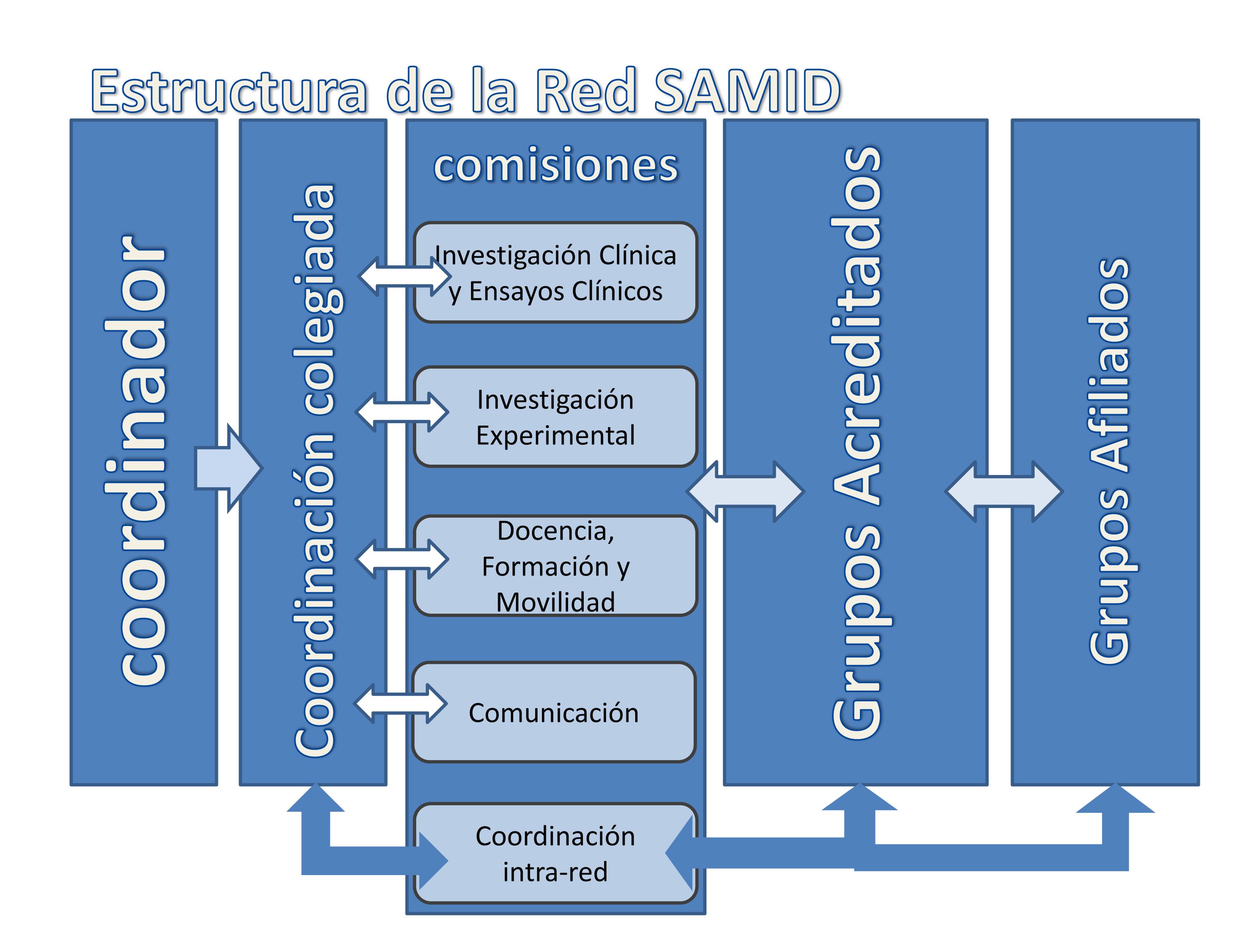 Estructura organizativa