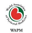 Logo Wapm